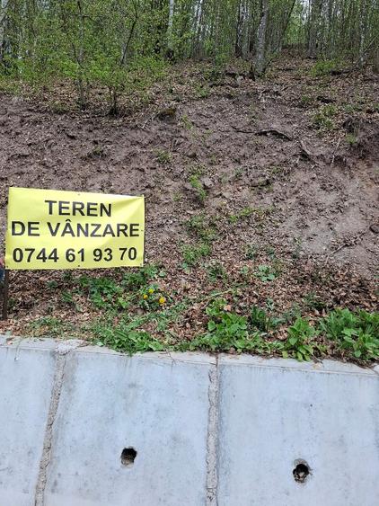 Teren agricol extravilan de 7548 mp, în Măcărești