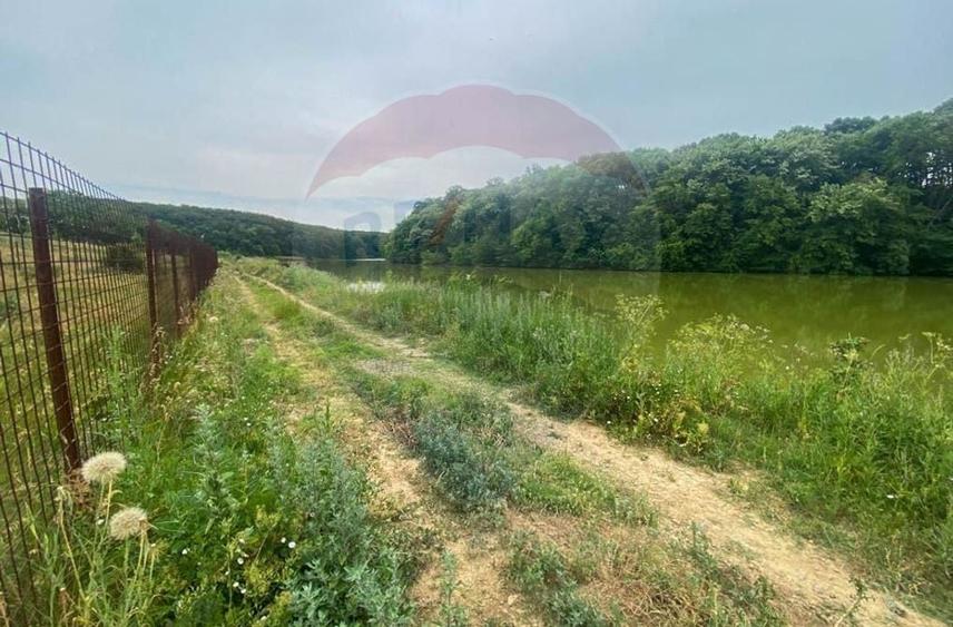 Teren agricol intravilan de 3778 mp, în Brănești