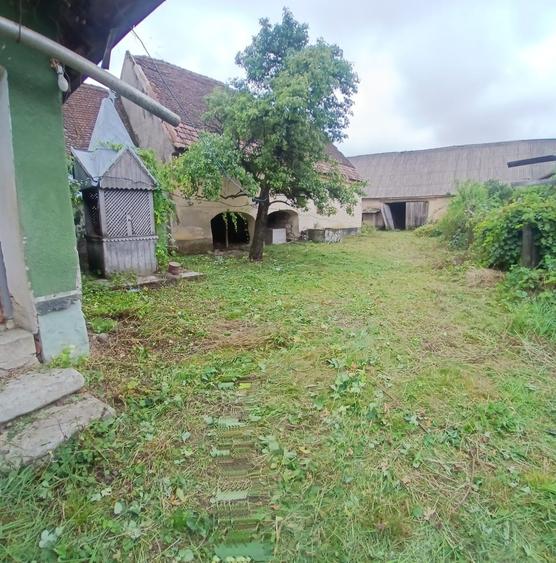 Casă cu 4 camere în Dorolea