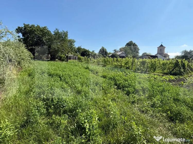 Casă cu 3 camere cu Teren 3095 Mp în Central