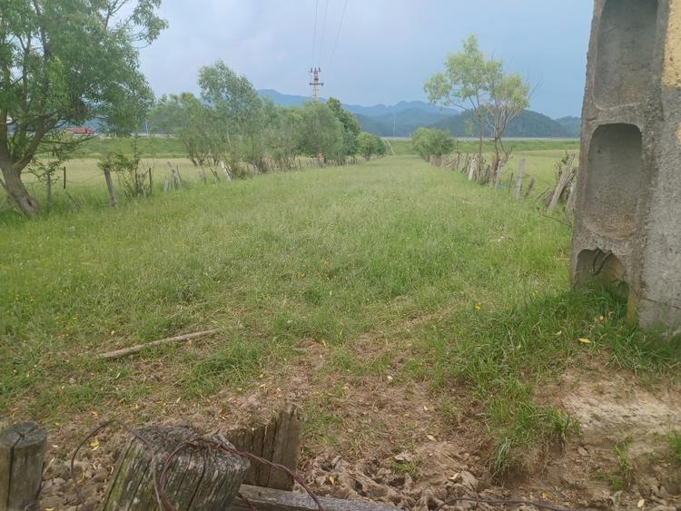 Teren Construcții intravilan de 10500 mp, în Exterior Nord