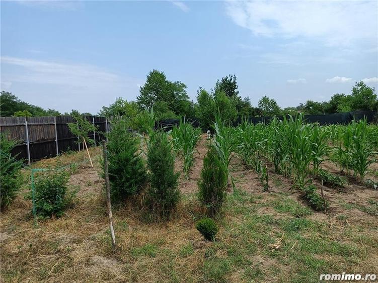 Casă cu 3 camere cu Teren 3000 Mp în Români