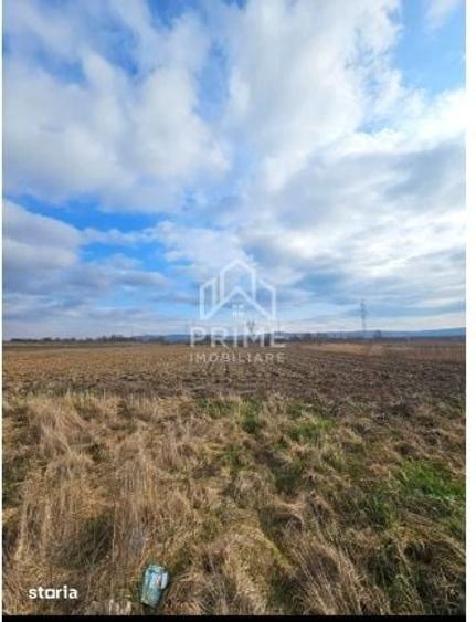 Teren de 6400 mp, în Tolstoi