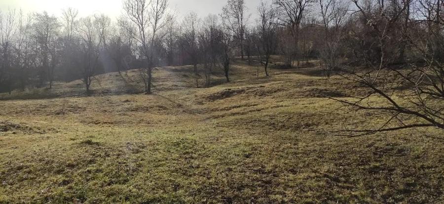 Teren de 10036 mp, în Slon