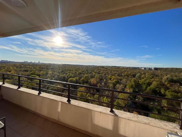 Apartament cu 2 camere, mobilat în Iancu Nicolae