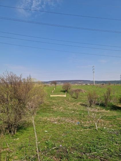 Teren agricol extravilan de 500 mp, în Pielești