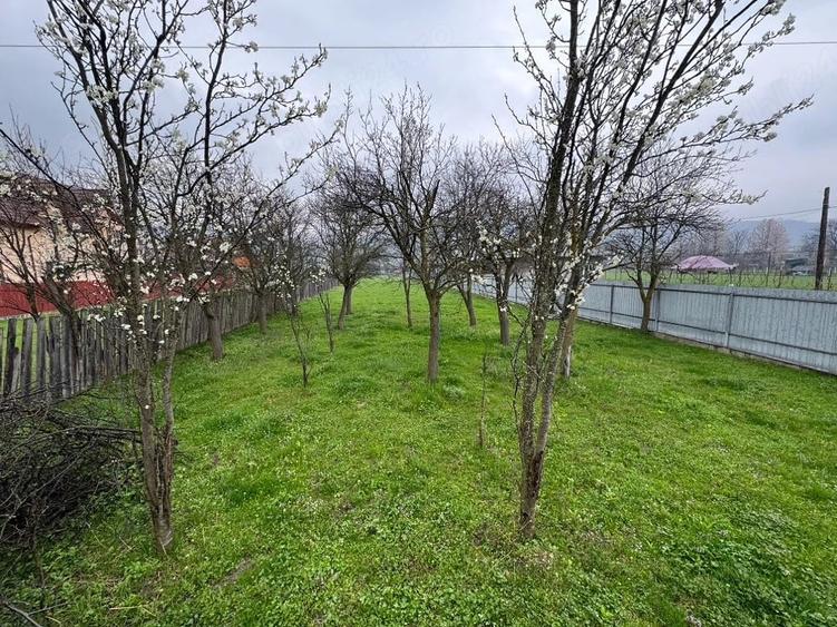 Teren de 2900 mp, în Central
