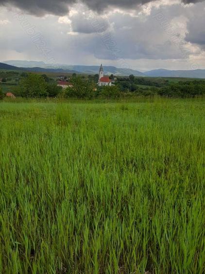 Teren de 34422 mp, în Bădeni