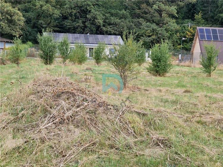 Teren intravilan de 1380 mp, în Cristian