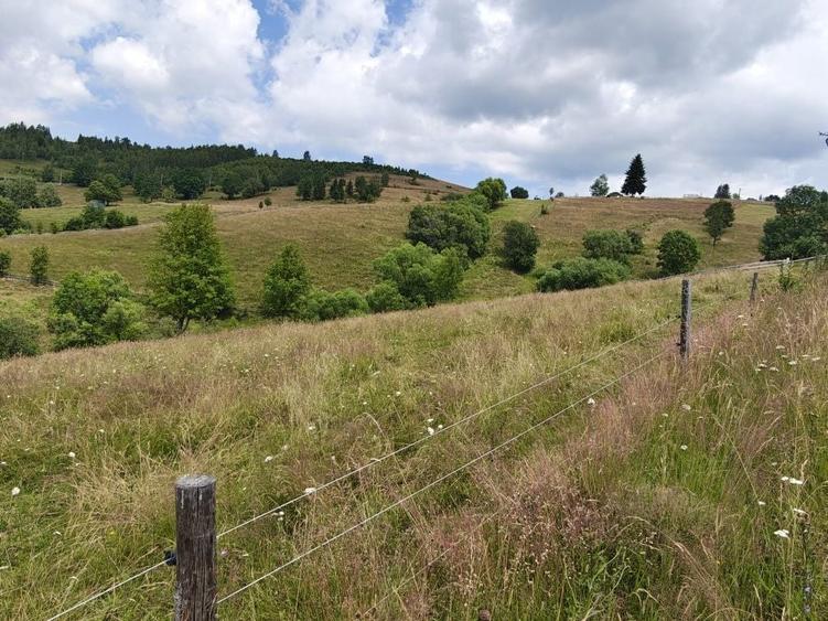 Teren de 4200 mp, în Măguri