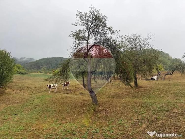 Casă cu 4 camere cu Teren 7700 Mp în Breb