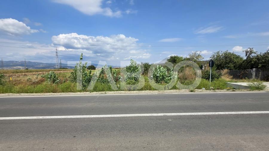 Teren Construcții extravilan de 3900 mp, în Pianu de Jos