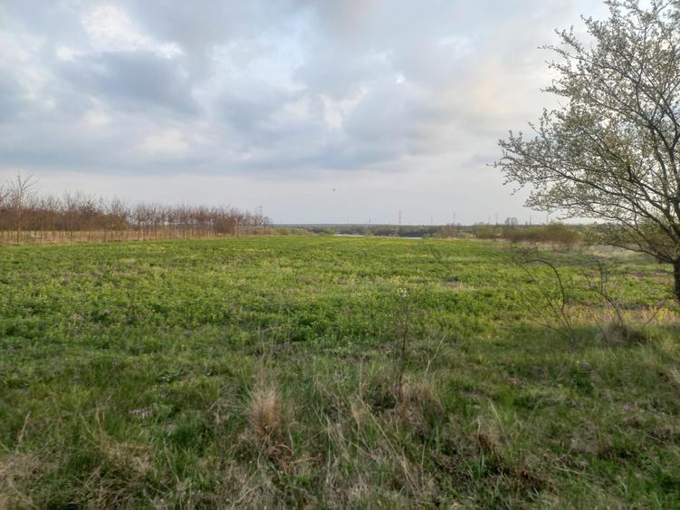 Teren agricol intravilan de 10568 mp, în Snagov
