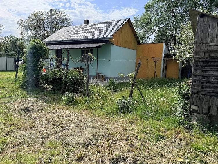 Casa de vanzare in Tarzia-Neamt