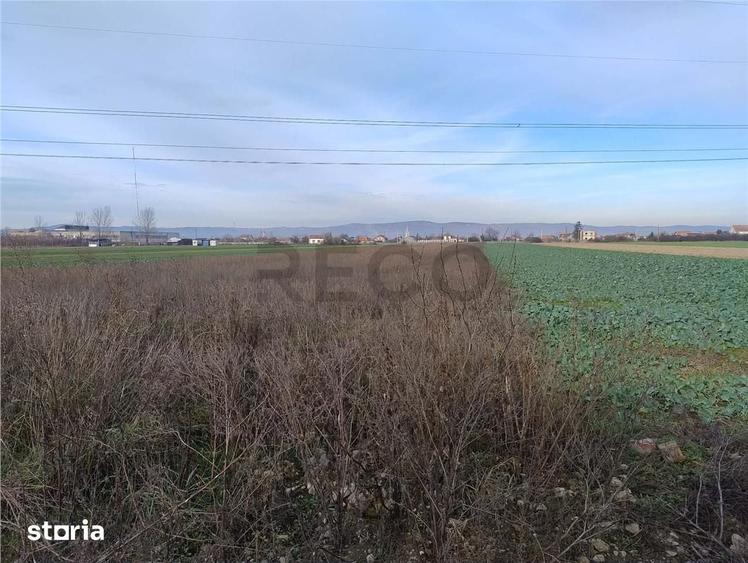 Teren de 5500 mp, în Oșorhei
