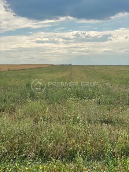 Teren agricol extravilan de 7200 mp, în Horlești (Rediu)