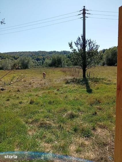 Casă cu 5 camere cu Teren 5500 Mp în Central
