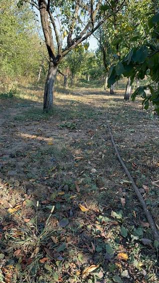 Casă cu Teren 2000 Mp în Răcari