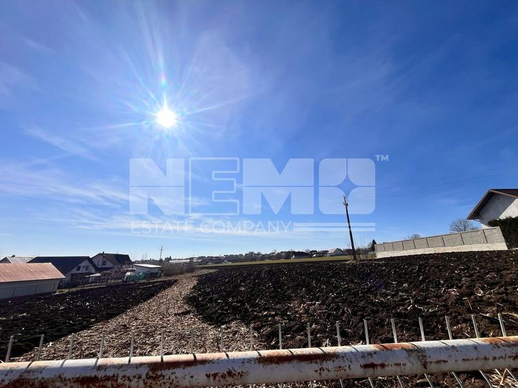 Teren agricol intravilan de 12300 mp, în Moara Nica