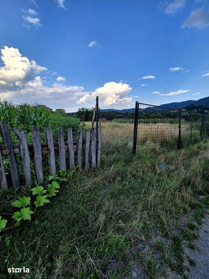 Teren de 1015 mp, în Șinca