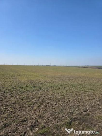 Teren de 7500 mp, în Nord
