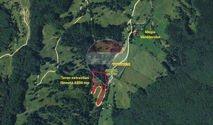 Teren de 8500 mp, în Dălghiu