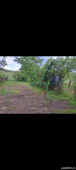 Casă cu 3 camere în Luncșoara