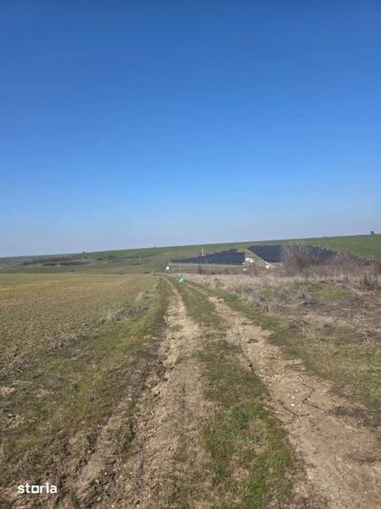 Teren de 4750 mp, în Mischii