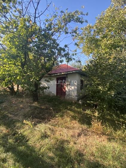Casă cu 3 camere cu Teren 1600 Mp în Central