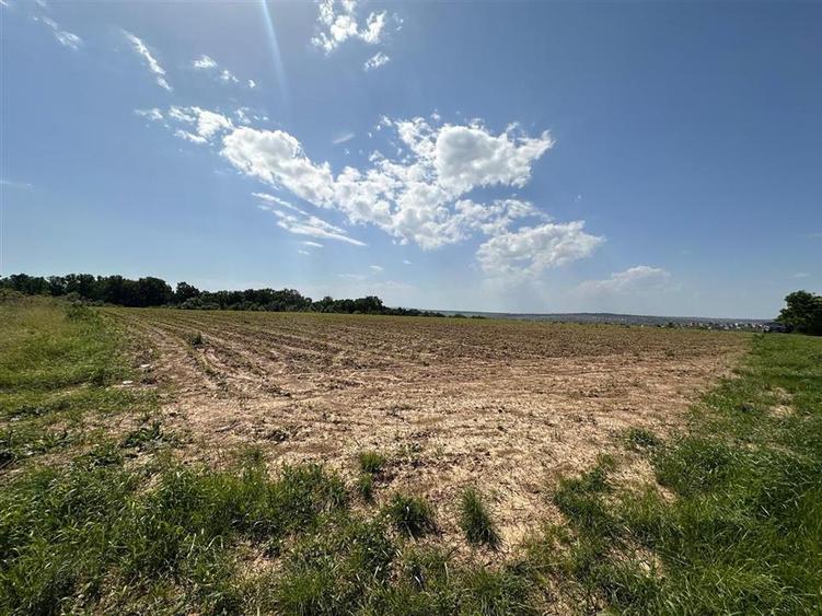 Teren extravilan de 950 mp, în Bârnova