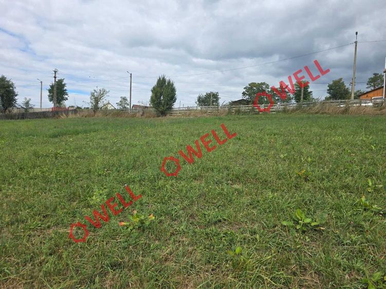 Teren Construcții intravilan de 6067 mp, în Barcani