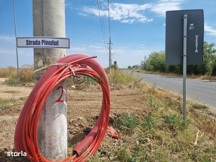 Teren de 42000 mp, în Cernica