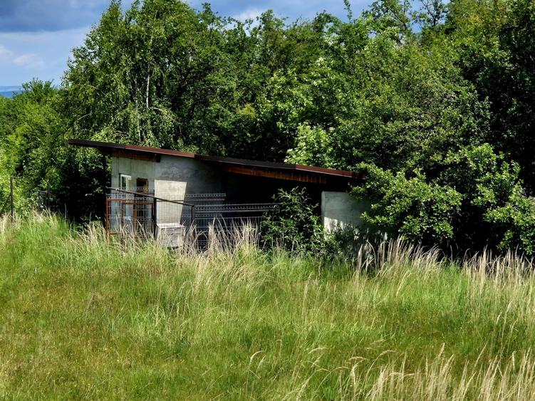 Casă individuală cu 3 camere cu Teren 4542 Mp în Sâmbăta de Sus