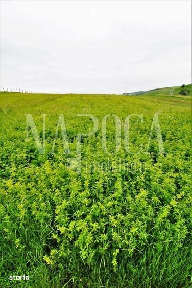 Teren de 5800 mp, în Baciu