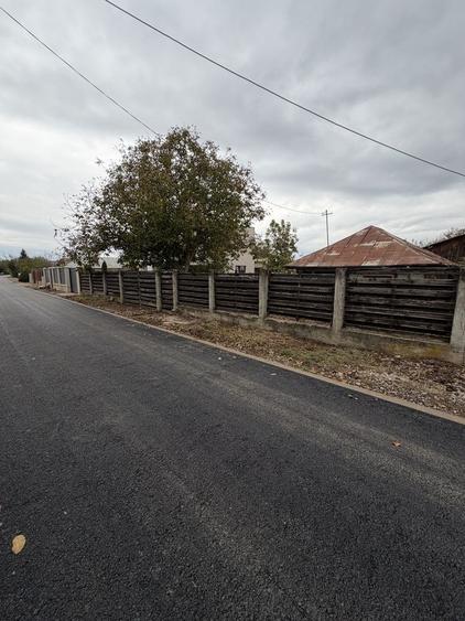 Teren de 2500 mp, în Tâncăbești