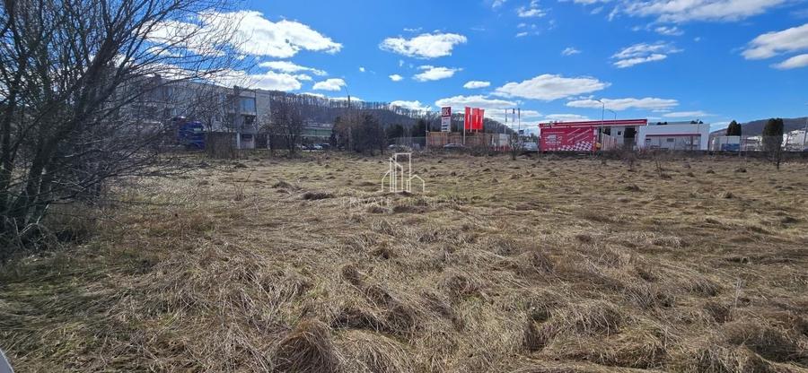 Teren Construcții intravilan de 4019 mp, în Est