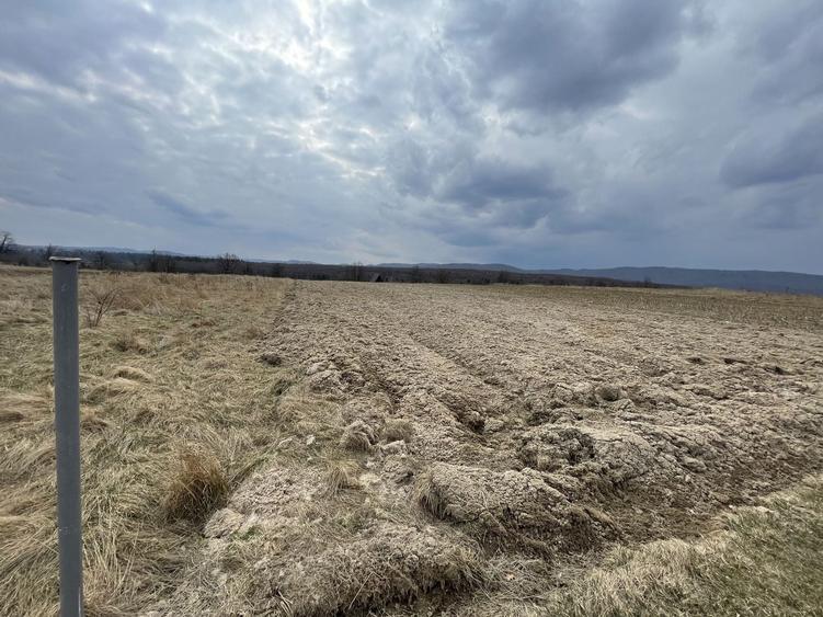 Teren agricol extravilan de 2300 mp, în Horodnic de Sus