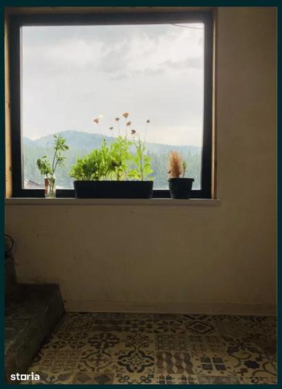 Casa si teren OFF GRID - 4