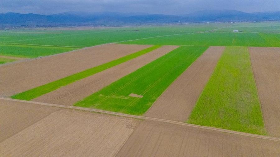 Teren agricol extravilan de 17700 mp, în Prejmer