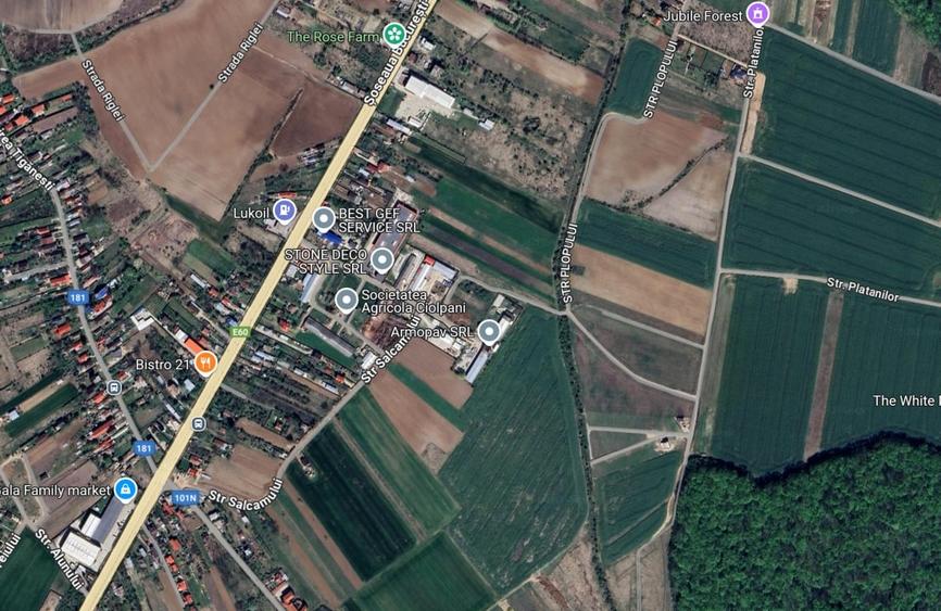 Teren Construcții intravilan de 6900 mp, în Ciolpani