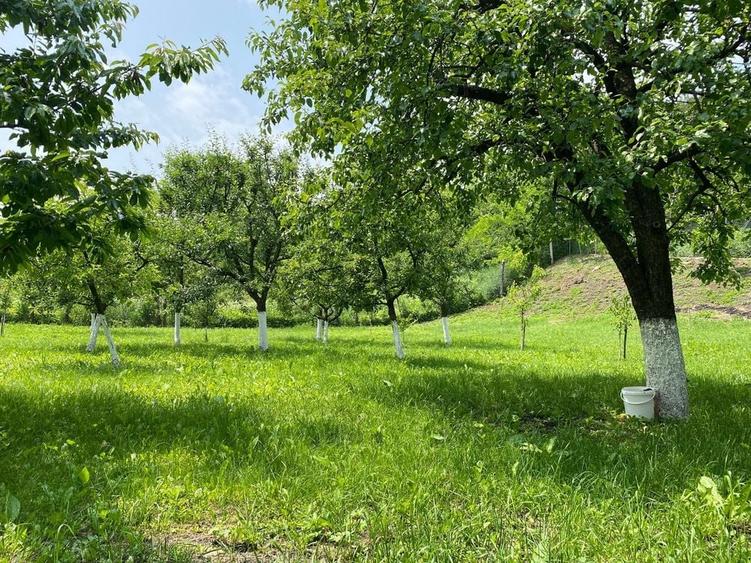 Teren de 2000 mp, în Aiton