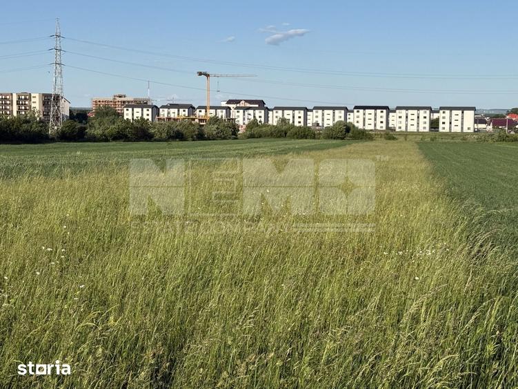 Teren de 2650 mp, în Frumosu
