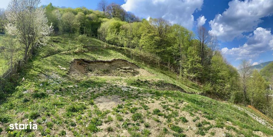 Teren de 4360 mp, în Valea Doftanei