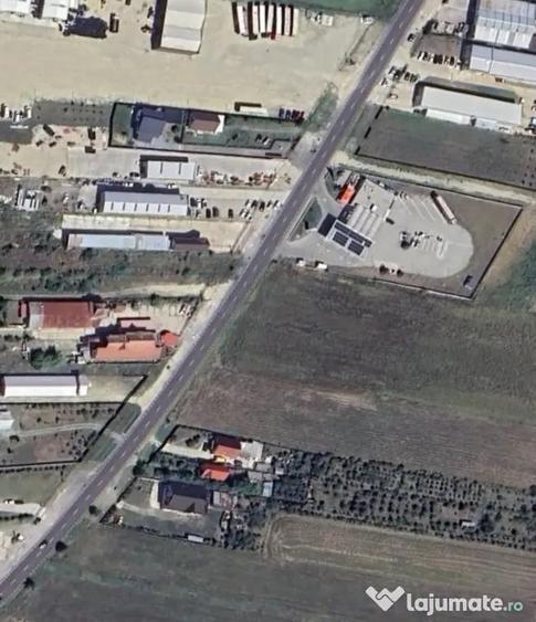 Teren de 10000 mp, în Albota
