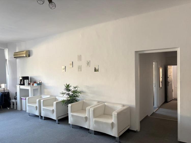 MÂNTULEASA | VILĂ EXCLUSIVISTĂ ÎN CENTRUL BUCUREȘTIULUI – 1.100.000 € - 44