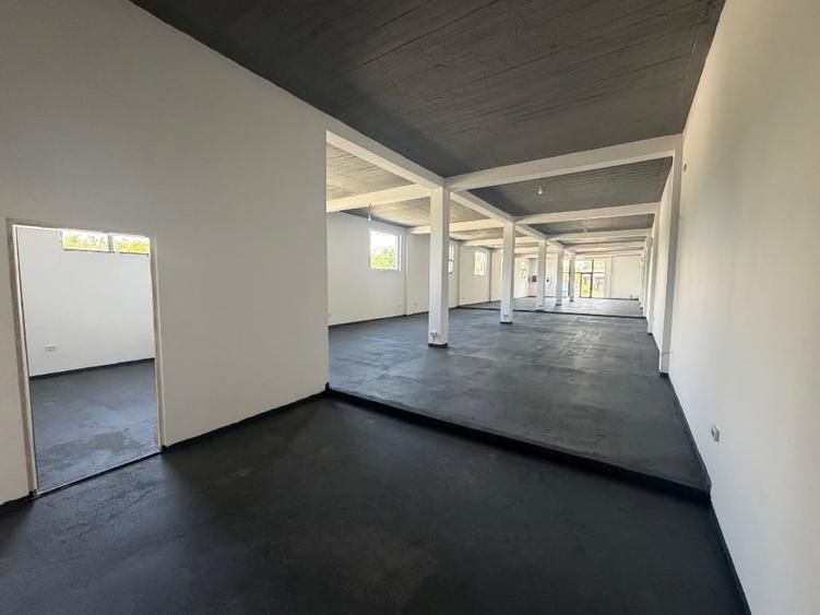 Spațiu comercial, de 310 mp, în Progresu