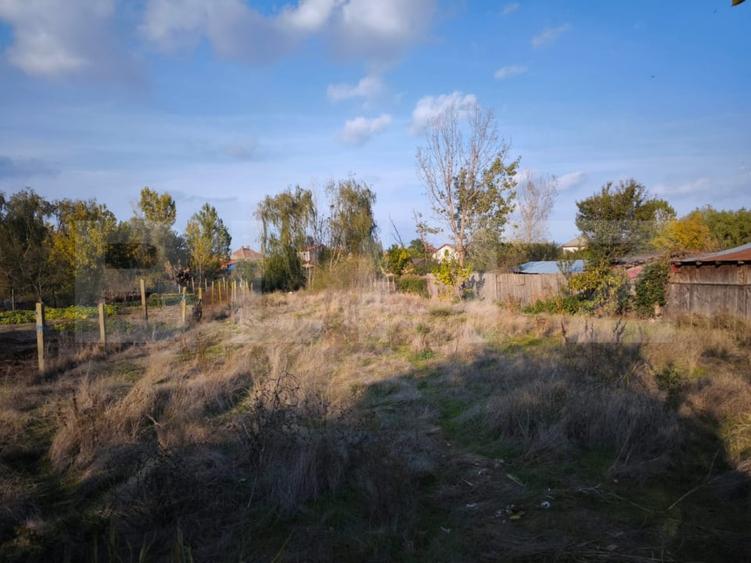 Teren Construcții intravilan de 1600 mp, în Cernele
