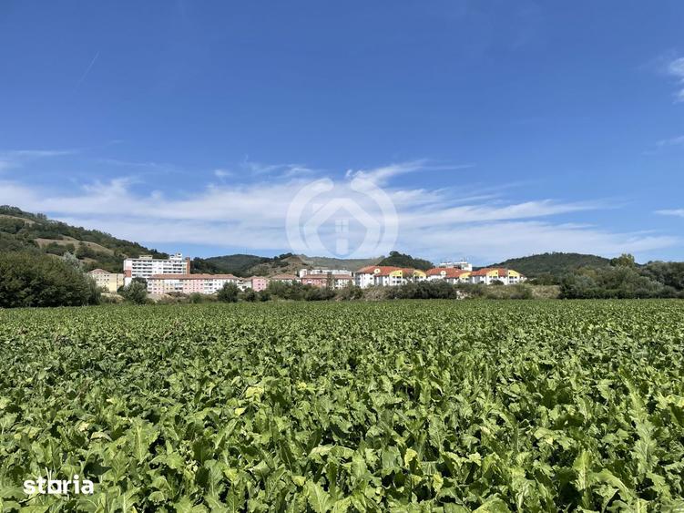 Teren de 13700 mp, în Central