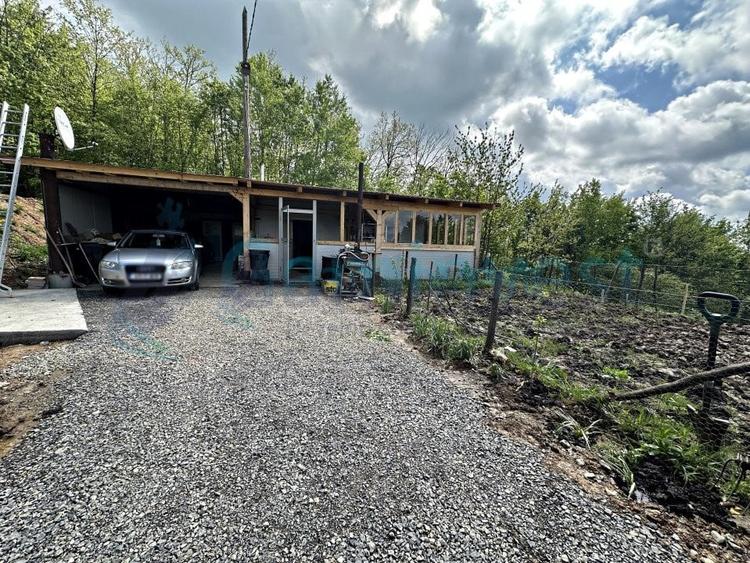Casă individuală cu 4 camere cu Teren 27000 Mp în Codrișoru