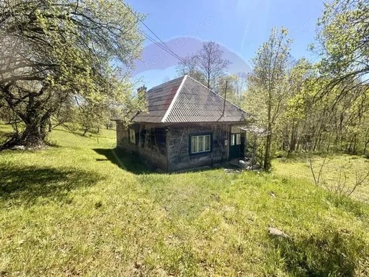 Casă cu 3 camere cu Teren 6039 Mp în Desești
